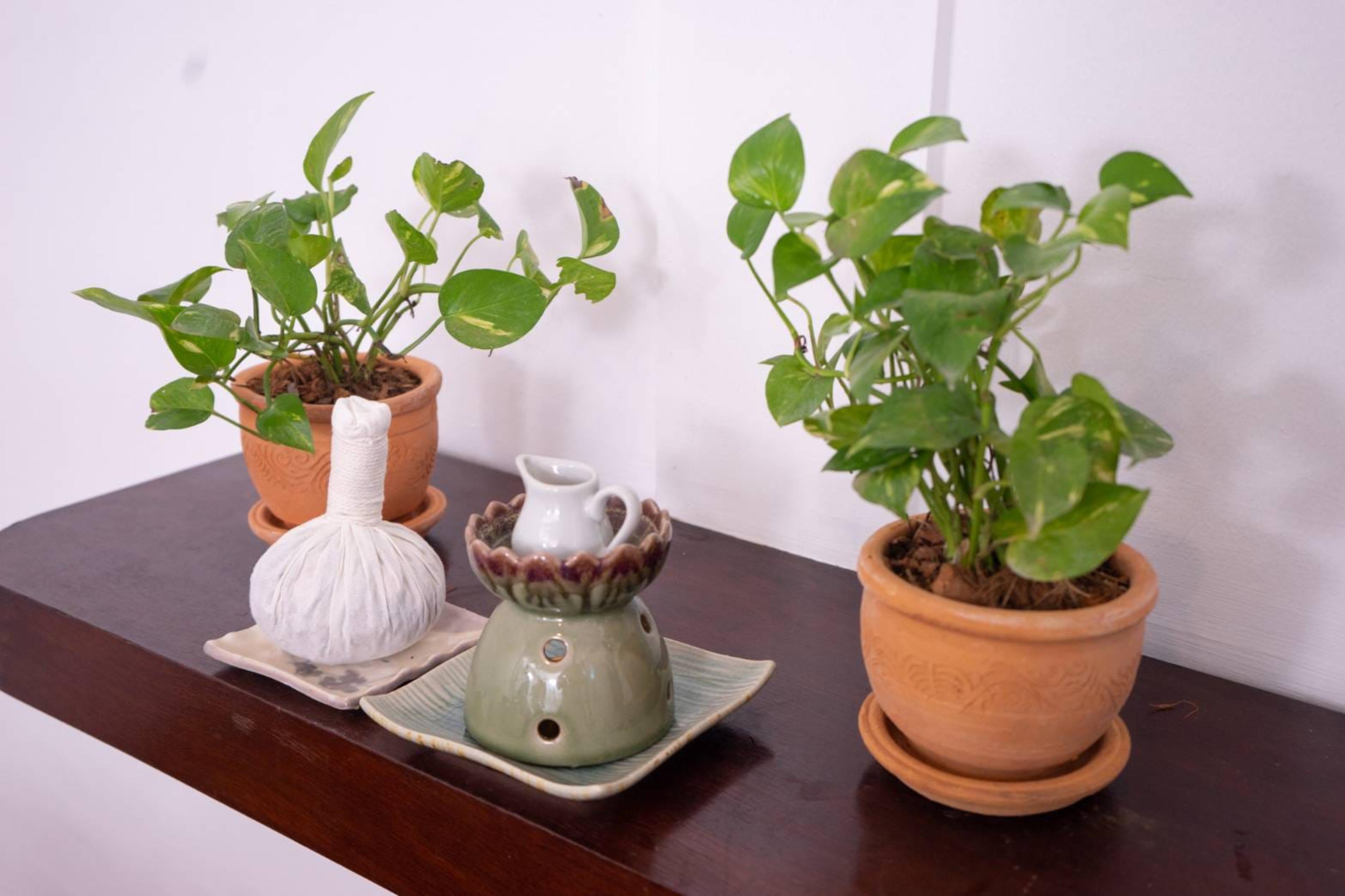 Amaravati Wellness Center Sha Plus Chiang Mai Ngoại thất bức ảnh